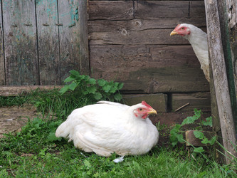 Similar image 22236358