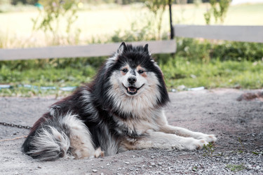 Similar image 22234907