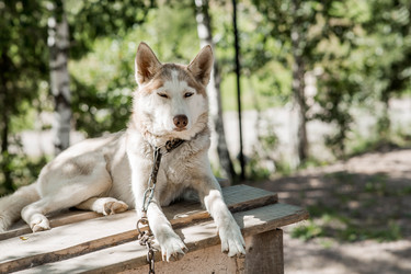 Similar image 22235541