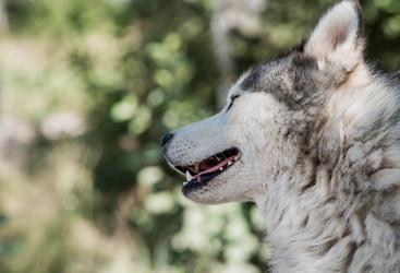 Similar image 22234910