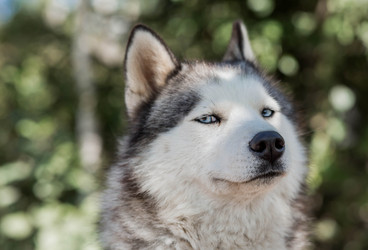 Similar image 22234911