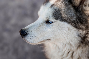 Similar image 22234913