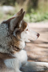 Similar image 22234916