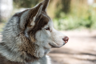 Similar image 22234917