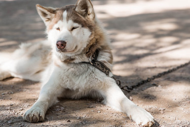 Similar image 22235544