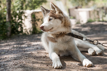 Similar image 22235546