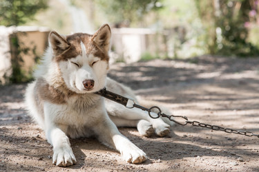 Similar image 22234919