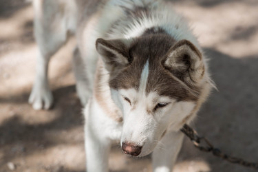 Similar image 22234920