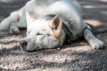 Similar image 22234922