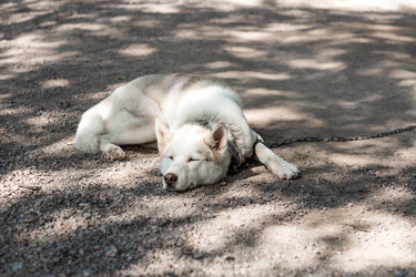 Similar image 22234923