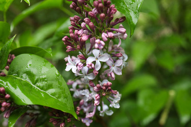 Similar image 22234862