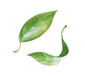 Similar image 22235960