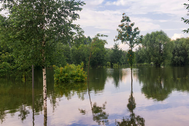 Similar image 22233675