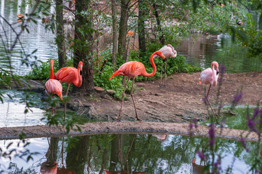 Similar image 22233676