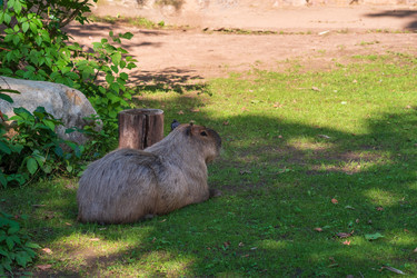 Similar image 22233680