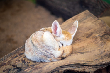 Similar image 22233681