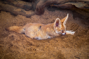 Similar image 22233683