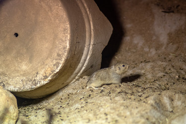 Similar image 22233685