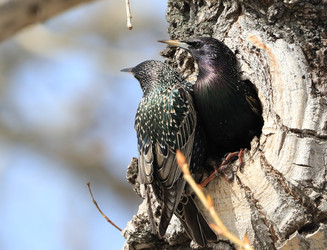 Similar image 22234864