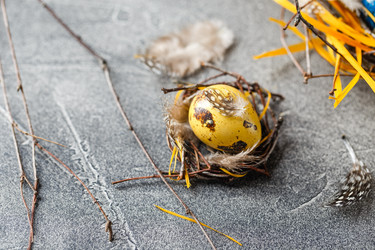 Similar image 22235159