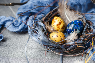 Similar image 22235160