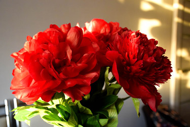 Similar image 22233688