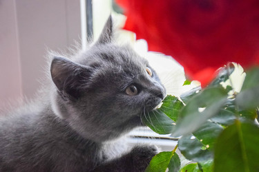 Similar image 22233691