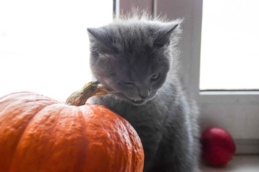 Similar image 22233693