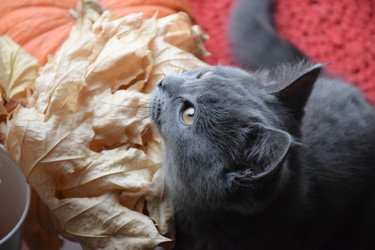 Similar image 22233697