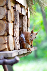 Similar image 22233618