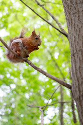 Similar image 22233699