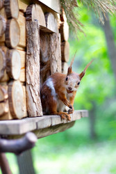 Similar image 22233700