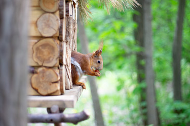 Similar image 22233702