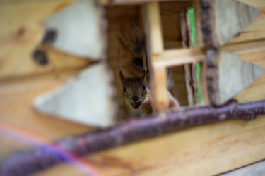 Similar image 22233703