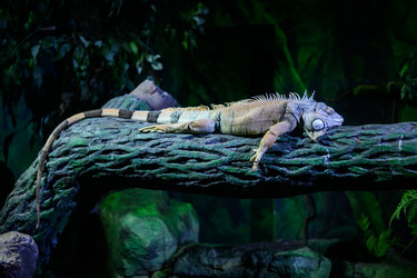 Similar image 22235215