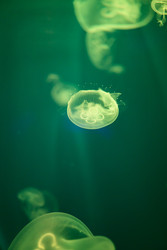 Similar image 22233706