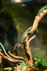 Similar image 22235056