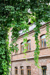 Similar image 22235060