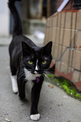 Similar image 22235062