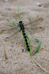 Similar image 22235068