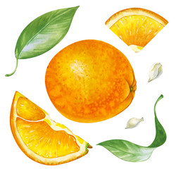 Similar image 22235995