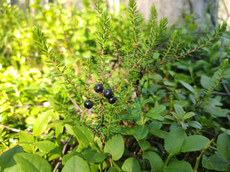 Similar image 22235550