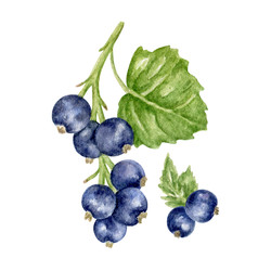 Similar image 22236274