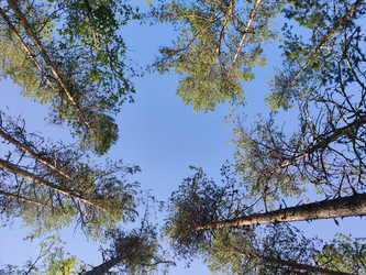 Similar image 22236316