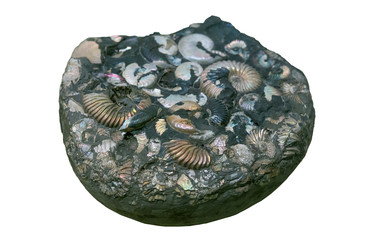 Similar image 22235344