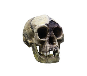 Similar image 22235345