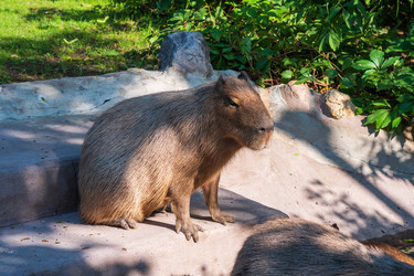 Similar image 22235349