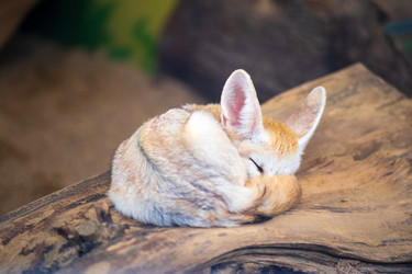 Similar image 22235350