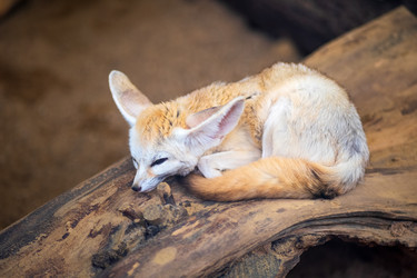 Similar image 22235352