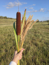 Similar image 22236278